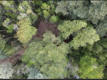 Venta / Terreno / Pucón