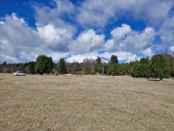 Venta / Terreno / Pucón