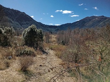 Venta / Terreno / Pucón