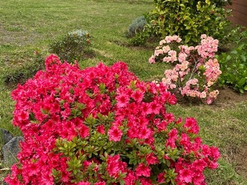 Imagen 21