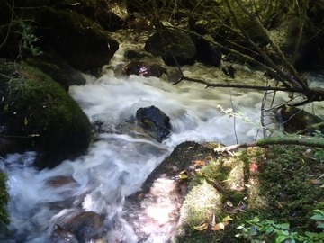 Venta / Terreno / Pucón