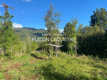 Venta / Terreno / Pucón