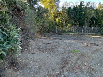 Imagen 23