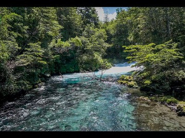 Venta / Terreno / Pucón