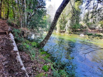 Fabulosas parcelas con acceso al apasíble y cristalino río Liucura.