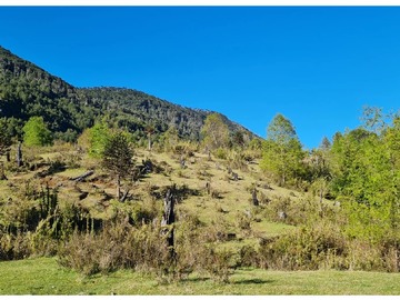 Parte plana y lomita