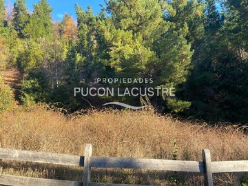 Venta / Terreno / Pucón