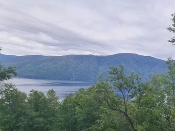 Venta / Terreno / Pucón