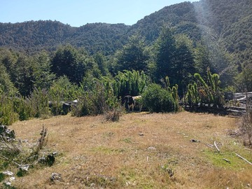 Imagen 9