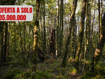 Venta / Terreno / Pucón