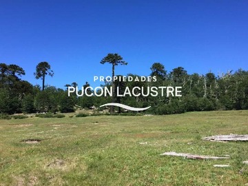 Venta / Terreno / Pucón
