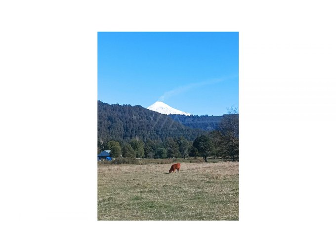 Hermosas parcelas en Palguin bajo, con vista al volcán Villarrica!