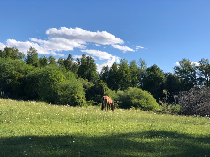 con vista al volcán