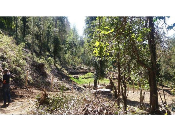 Bellísimas parcelas con bosque,estero y acceso a playa en el rio Liucura!!!