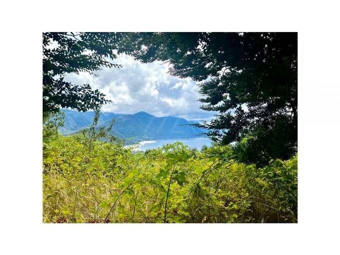 Maravillosas parcelas con inmejorable vista a todo el lago Caburgua!!!