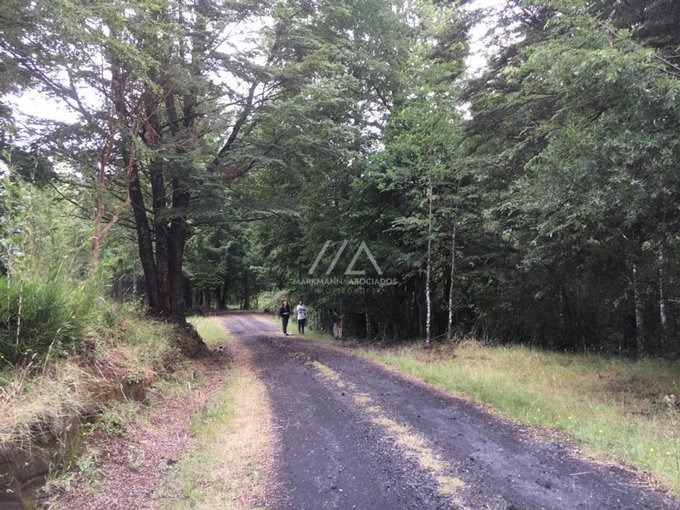 Hermosas parcelas en Candelaria alta, inmersas en un bosque nativo.