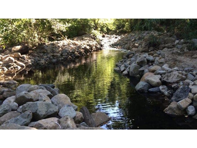 Bellísimas parcelas con bosque,estero y acceso a playa en el rio Liucura!!!