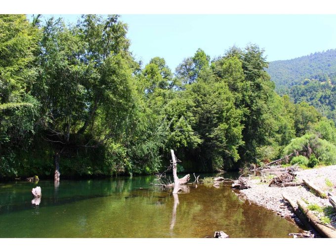 Fabulosas parcelas con acceso al apasíble y cristalino río Liucura.