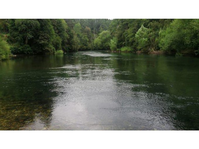 Bellísimas parcelas con bosque,estero y acceso a playa en el rio Liucura!!!