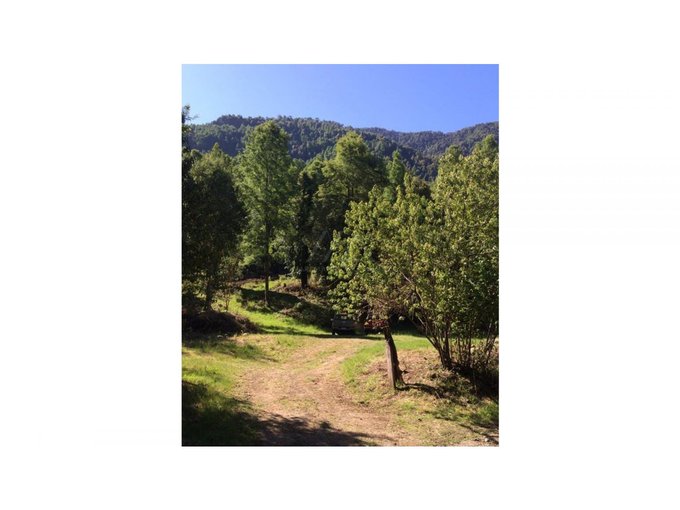 Bellísimas parcelas con bosque,estero y acceso a playa en el rio Liucura!!!