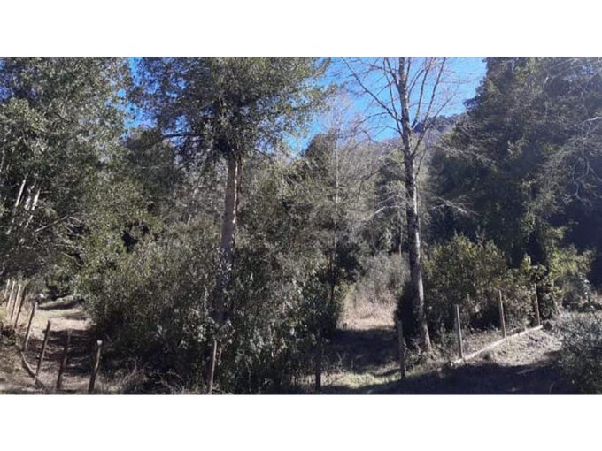 Bellísimas parcelas con bosque,estero y acceso a playa en el rio Liucura!!!