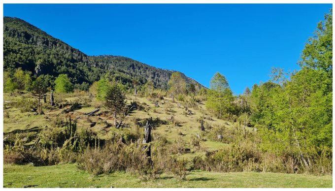 Parte plana y lomita