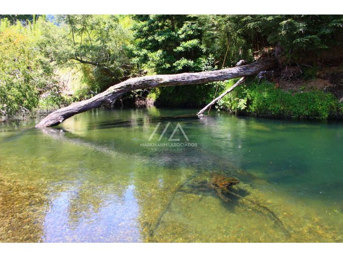 Fabulosas parcelas con acceso al apasíble y cristalino río Liucura.