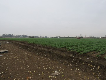 Venta / Terreno / Pudahuel