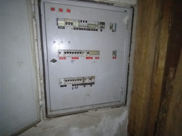 Imagen 5