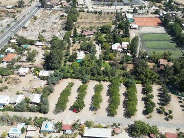 Imagen 5