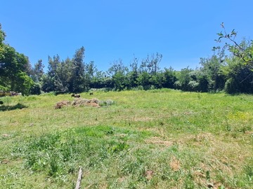 Venta / Terreno / Puente Alto