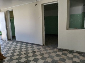 Imagen 5