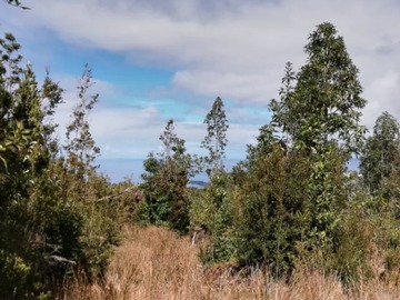 Venta / Terreno / Puerto Montt