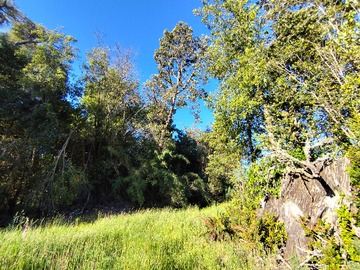 Venta / Terreno / Puerto Montt