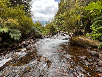 Venta / Terreno / Puerto Montt