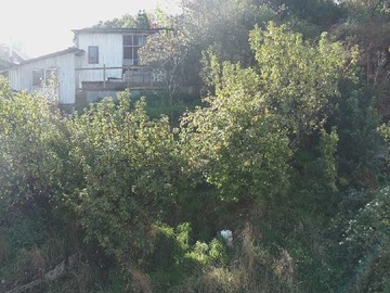 Imagen 7