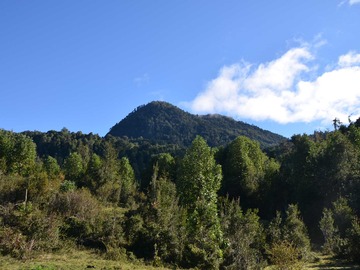 Venta / Terreno / Puerto Montt