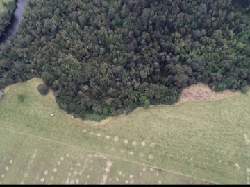 Venta / Terreno / Puerto Montt