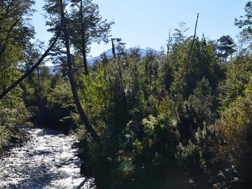 Venta / Terreno / Puerto Montt