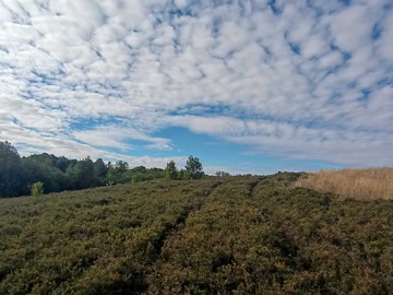 Venta / Terreno / Puerto Montt