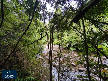 Imagen 7