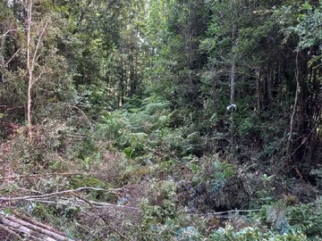 Venta / Terreno / Puerto Montt