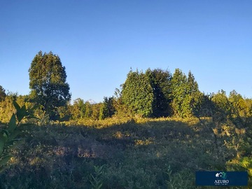 Venta / Terreno / Puerto Montt