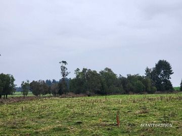 Venta / Terreno / Puerto Montt