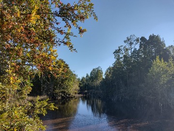 Venta / Terreno / Puerto Montt