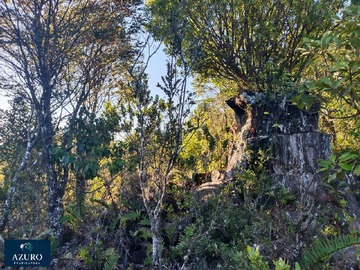 Venta / Terreno / Puerto Montt