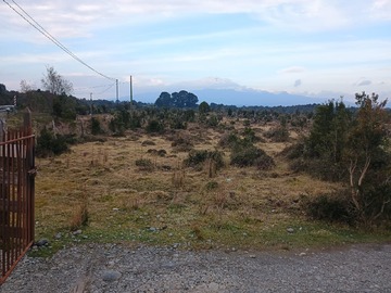 Imagen 6