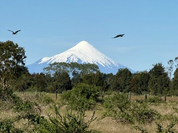 Venta / Terreno / Puerto Montt