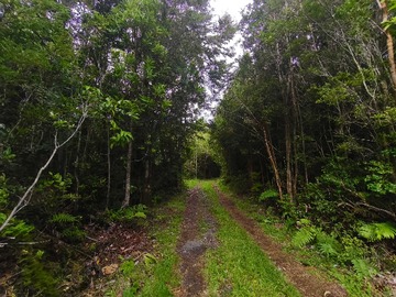 Venta / Terreno / Puerto Montt