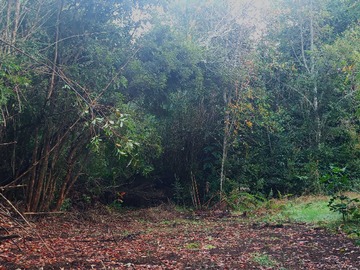 Venta / Terreno / Puerto Montt